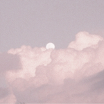 beneath these skies
