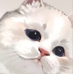 noalanxx