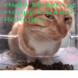 Happy Canteen hello street cat rp