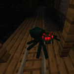 Spidering Developmenting