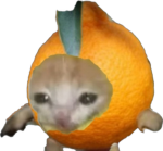 바나나의 그룹!