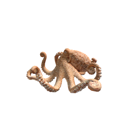 Octopus 