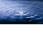 The water peeps