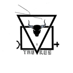 The Taurus Company
