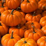 TheBestBrooke123