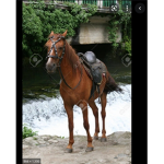 *+River falls meadow+*