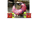AsTon's Capybara Army