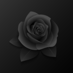 Black Flower Studios