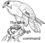 The Elite Falcons High Command