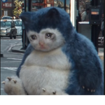 sad cats