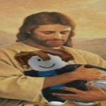 Ositoo1781