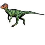 DA #DINO SQUAD!!!!