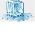 The Ice company