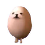 Mi Amigo.