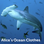 Alice’s Ocean Clothes