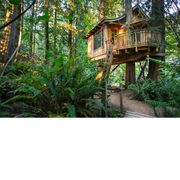 Tree House