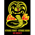 Cobra Kai Fan's