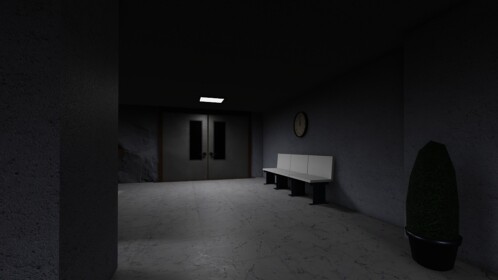The Hospital Experience