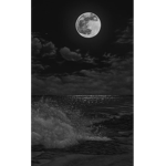 The Moonlight Rebels