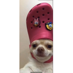 Hiiiiiiiiiiiiiiiiiiiiiiiiiio