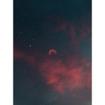 Neptune Appeal