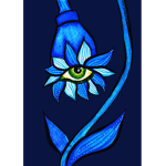 blue rose bloom