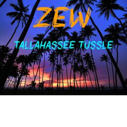 ZEW Official Arena