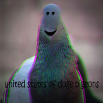 united states of doge pigeons