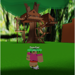 The Explorer