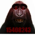 MonkeyZone