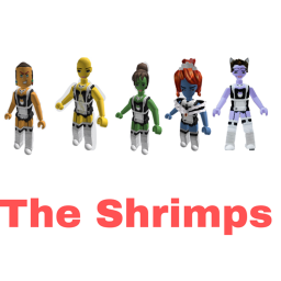 🦐Shrimp meeting area🦐