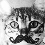 kittzie