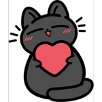 cittykats