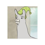 Carl The Llama