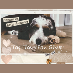 Tay Tay’s Fan Group!