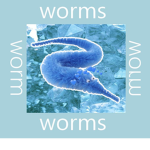 Society of worms