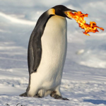 MrPenguin