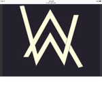 Walker team
