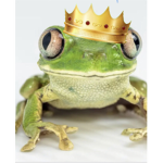 Sir frog the prince