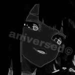 aniversed