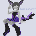 Cat Colony<3