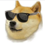 ROBLOX Doge Fans