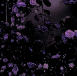 |•Eunie•|