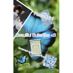 Beautiful Butterflies!<3