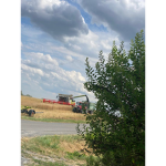 Die Traktor Freunde