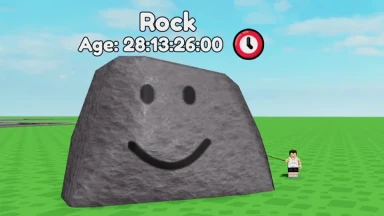 My Pet Rock