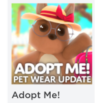 We play adopt me!