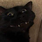 MaidUwU