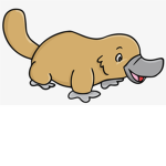 Platypus cult better than frogs