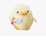 fellow duccs